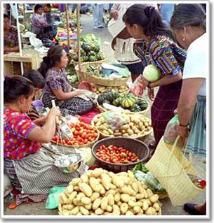 Người Maya cổ từng biết kinh doanh?