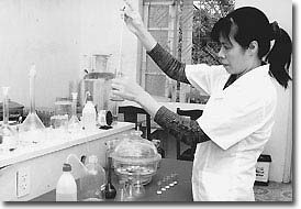 Chọn tạo thành công hàng chục giống cây trồng mới