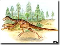 Hóa thạch khủng long bị thương cung cấp nhiều thông tin quý giá