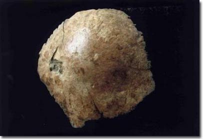 Trung Quốc phát hiện hóa thạch sọ người gần như hoàn chỉnh