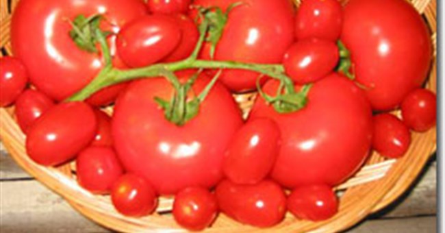 Tác động của protein thành tế bào trong trái cây