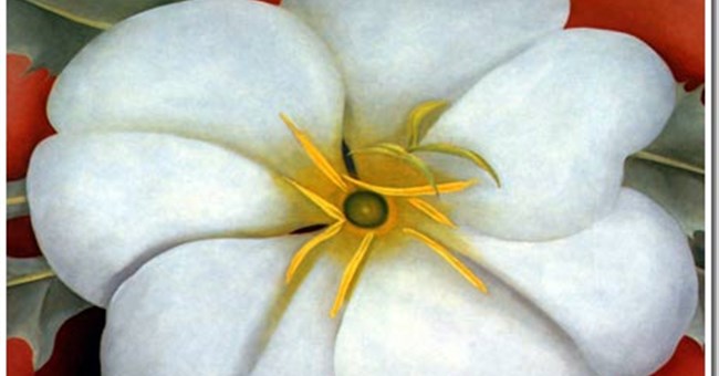 Tại sao hoa lại đẹp?