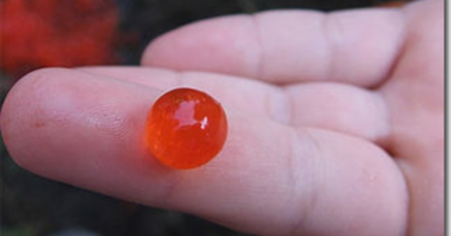 Điều kì diệu của những ngón tay