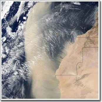 Bão bụi từ sa mạc Sahara làm số lượng phiêu sinh vật ở đông Đại Tây Dương bùng nổ