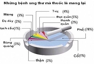 Thuốc lá sẽ giết chết 1 tỷ người trong thế kỷ XXI