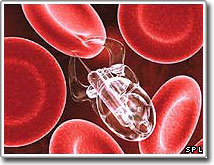 Năm 2029, máy sẽ giống người!