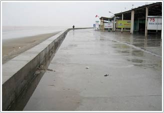 Nam Định: Ba năm mực nước biển dâng 20cm