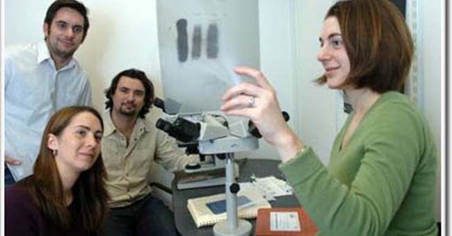 MicroRNA cường hóa giúp điều trị bệnh ung thư