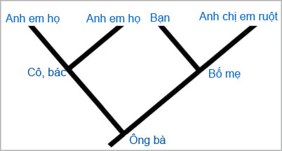 Bạn hiểu thế nào về cây tiến hóa (Phần I)