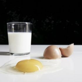 Mất dần gen lòng đỏ trứng ở động vật có vú và nguồn gốc của sự tiết sữa cùng quá trình hình thành nhau thai