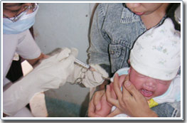 Hà Nội tiêm vaccine phòng viêm não Nhật Bản miễn phí
