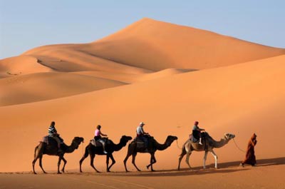 Gen bật, tắt tùy thuộc vào địa lý và lối sống