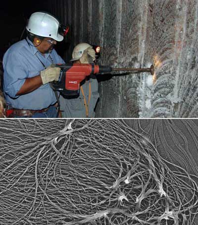 Hợp chất thực vật cổ phát hiện trong tường muối của nơi xử lý chất thải