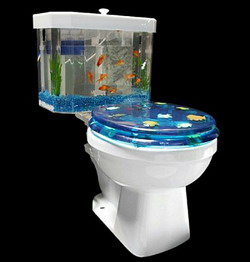 Toilet kiêm bể cá