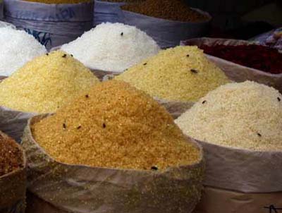 Con ruồi nhà - phàm ăn, gây bẩn