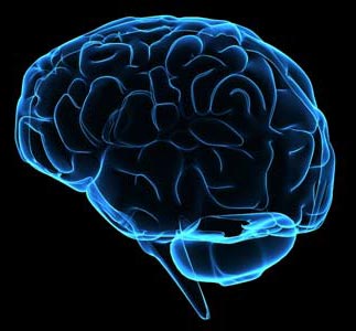 Phương pháp hạ nhiệt trong điều trị tổn thương não