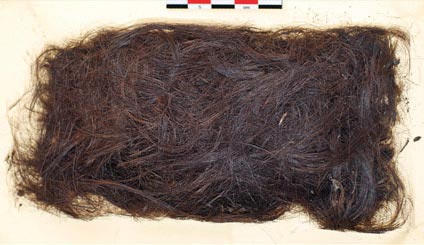 Tóc tiền sử cho thấy những người Eskimo đầu tiên đến từ châu Á