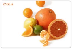 Vitamin và bệnh truyền nhiễm