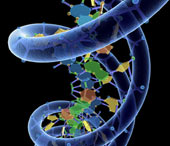 Tổng hợp thành công phân tử DNA nhân tạo đầu tiên trên thế giới