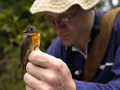 Phát hiện loài chim cổ đỏ độc nhất vô nhị