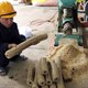 Sản xuất thành công củi trấu 