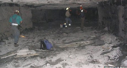 Khu rừng hóa thạch khổng lồ trong hầm mỏ