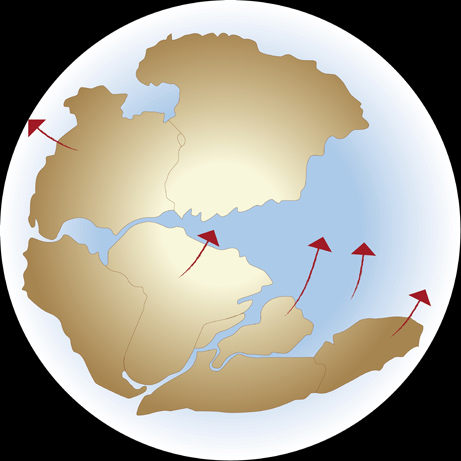 Siêu lục địa Pangaea được hình thành như thế nào? 