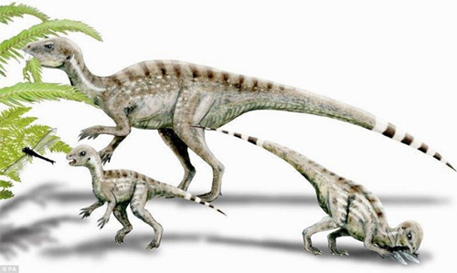 Lần đầu tiên phát hiện loài khủng long ăn tạp