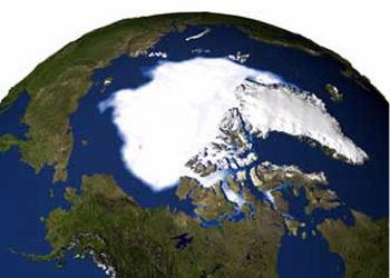 Không thể cứu vãn hiện tượng tan băng ở Bắc Cực