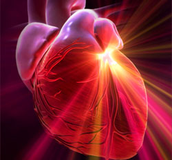 Sức khỏe tim mạch, những điều có thể bạn chưa biết 