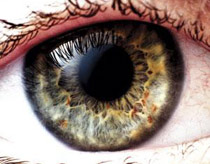 Mắt tiết lộ sức khỏe của não (Phần 1) 