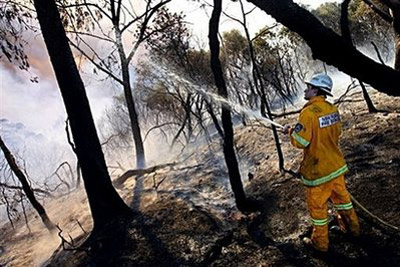 Tại sao nhiều người Australia chết vì cháy rừng