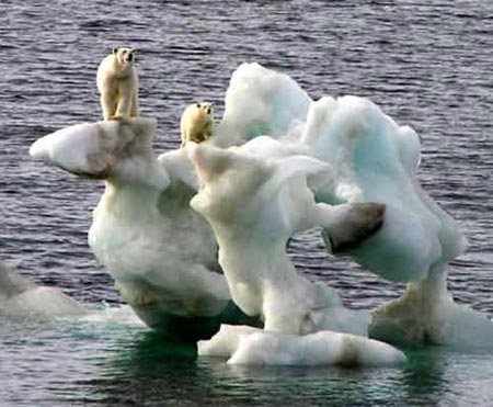 Bắc Cực có thể hết băng trong vòng một thập kỷ 