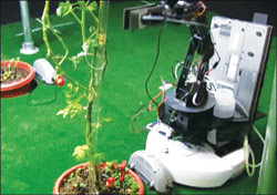 Robot làm vườn sẽ giúp bạn tiết kiệm thời gian và nỗ lực khi trồng hoa và làm vườn. Bạn đang tìm kiếm một công cụ hữu ích như robot làm vườn này? Hãy xem ngay hình ảnh liên quan để đưa ra quyết định tốt nhất cho mình.