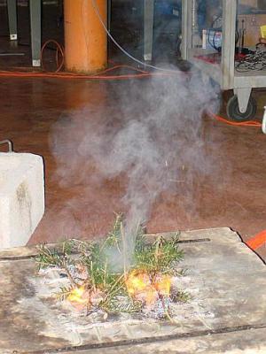 Các chất hoá học độc hại được phát hiện trong khói lửa cháy rừng 