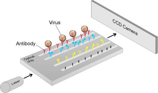 Thiết bị di động có thể phát hiện vi rut trong vài phút 
