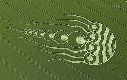 “Con sứa” bí ẩn trên cánh đồng tại Anh