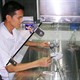 Nhân giống thành công loài thông chứa chất trị ung thư