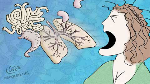 Thêm người chết vì dịch hạch thể phổi ở Trung Quốc