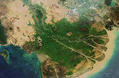 Điện từ nước muối