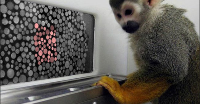 Đã tìm ra phương pháp chữa chứng mù màu