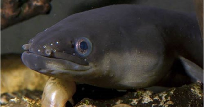 Khoa học qua những hình ảnh kỳ vĩ