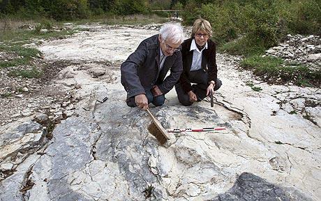 Tìm thấy dấu chân khủng long lớn nhất thế giới 