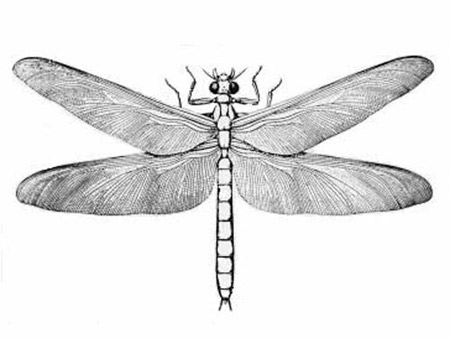 Những sát thủ từng thống trị trời xanh