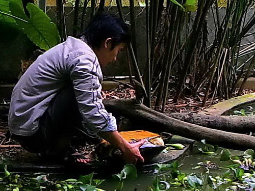 “Nhà rùa” vườn Cúc Phương