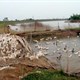 Cúm gia cầm tái bùng phát, tăng gánh nặng dịch bệnh