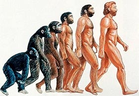 Loài người vẫn đang tiến hóa