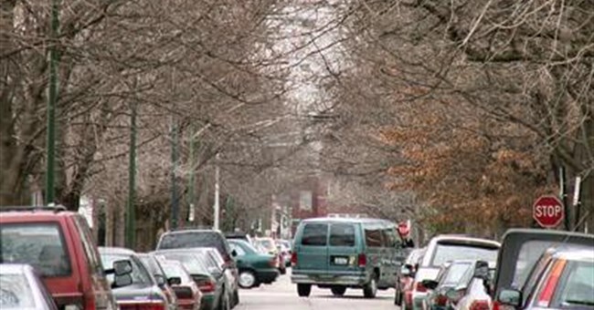 Lá cây chỉ thị mức ô nhiễm