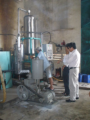 Tách kháng sinh, 'giải độc' cho mật ong xuất khẩu