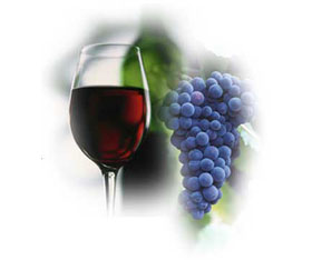 Uống rượu vang giúp chống được nhiễm trùng máu